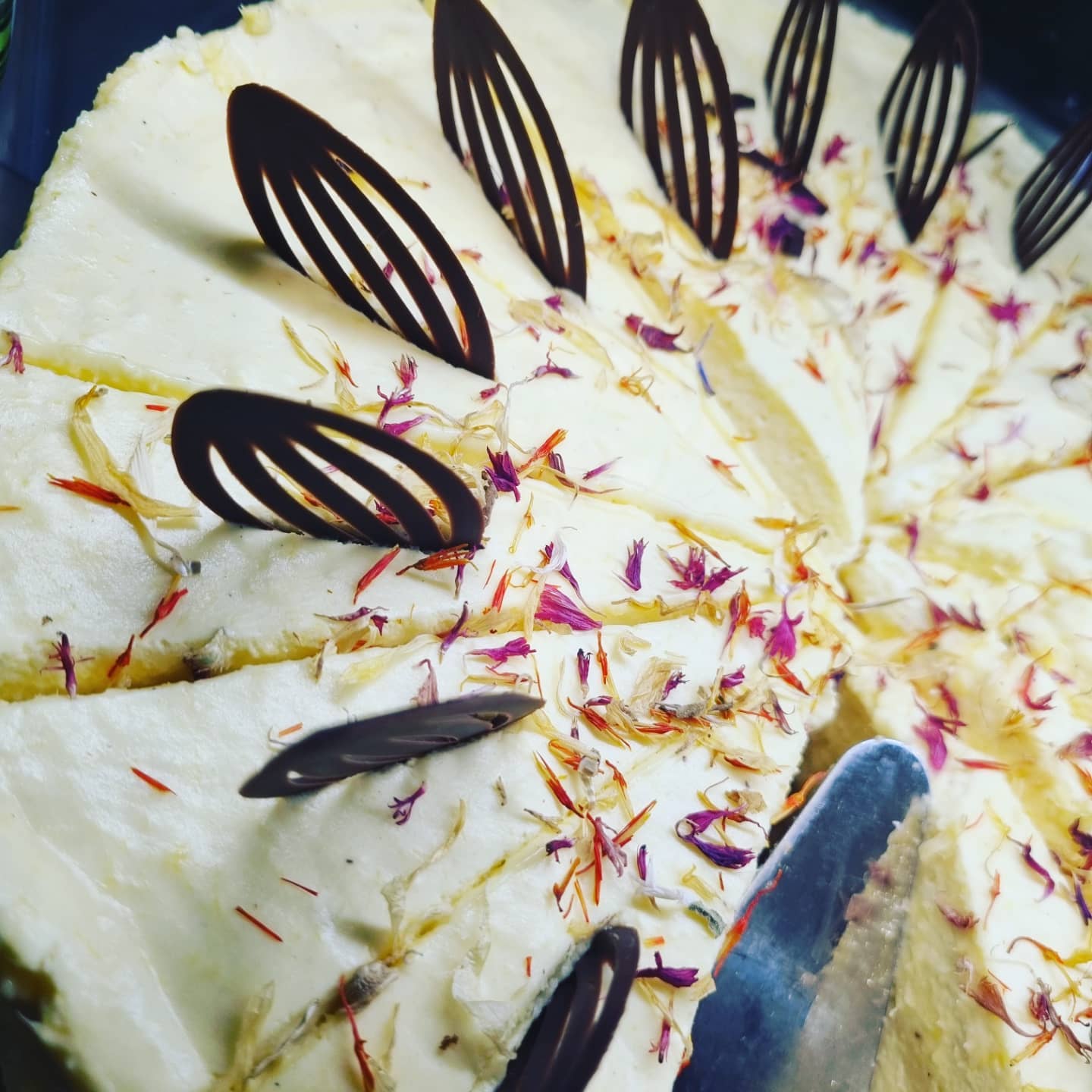 Mango & Vanilj Cheescake (2)